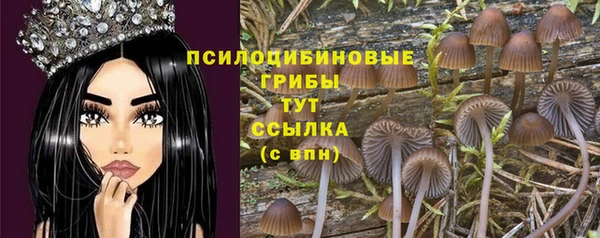 молекула духа Горнозаводск